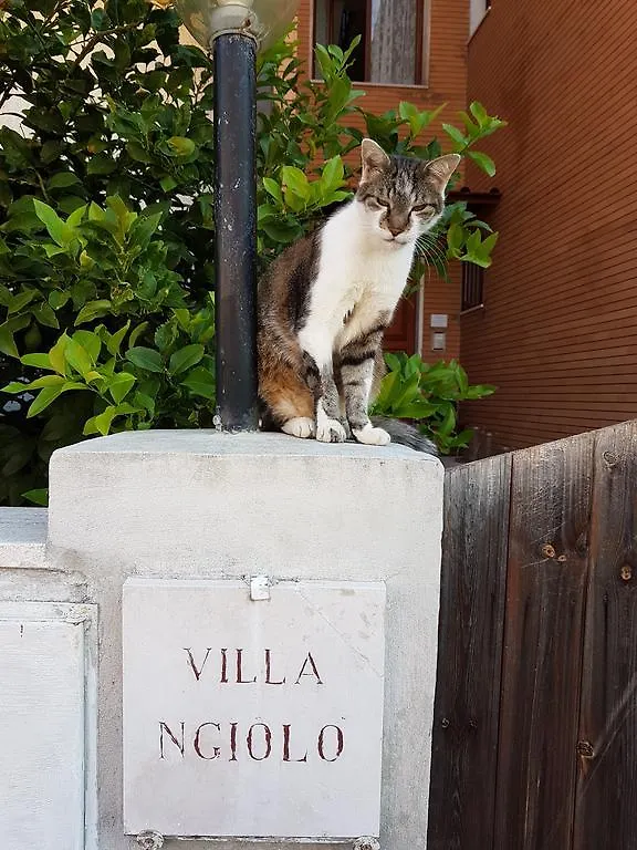 B&B Villa Ngiolo 